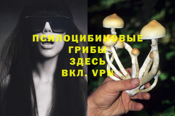 гашик Балабаново