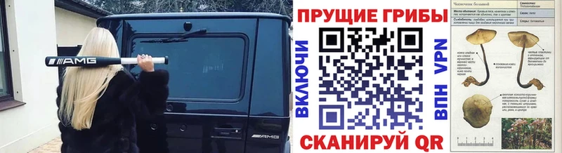 Галлюциногенные грибы мухоморы Дедовск