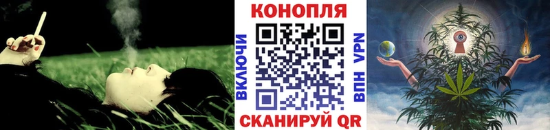 Бошки Шишки THC 21%  Дедовск 